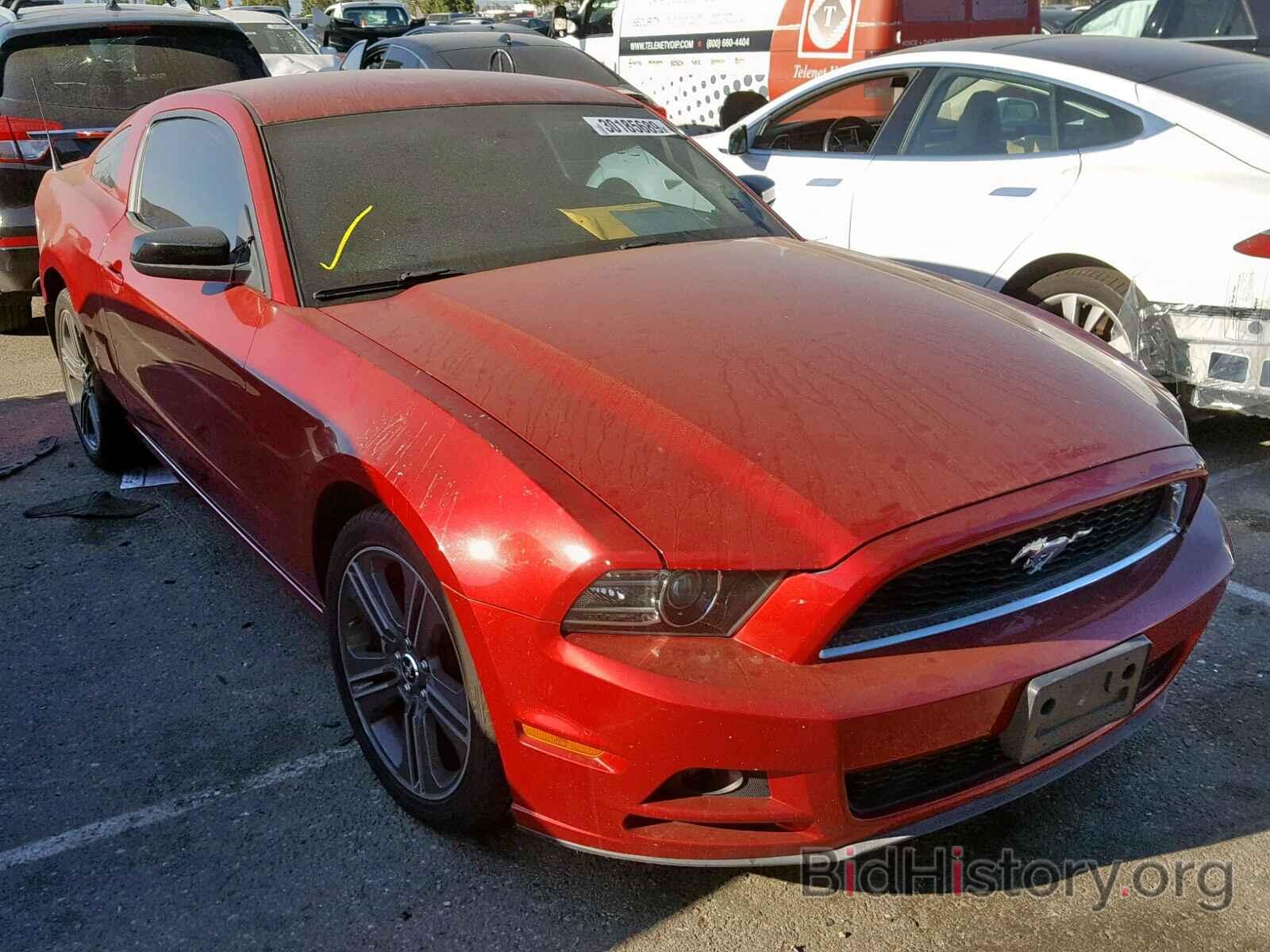 Photo 1ZVBP8AM8D5213711 - FORD MUSTANG 2013