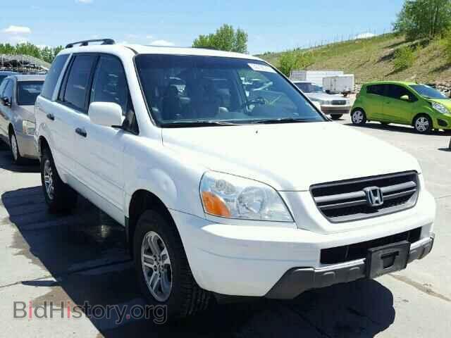 Photo 5FNYF186X5B067455 - HONDA PILOT 2005
