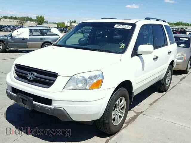 2005 HONDA PILOT - VIN: 5FNYF186X5B067455 - Фото 2