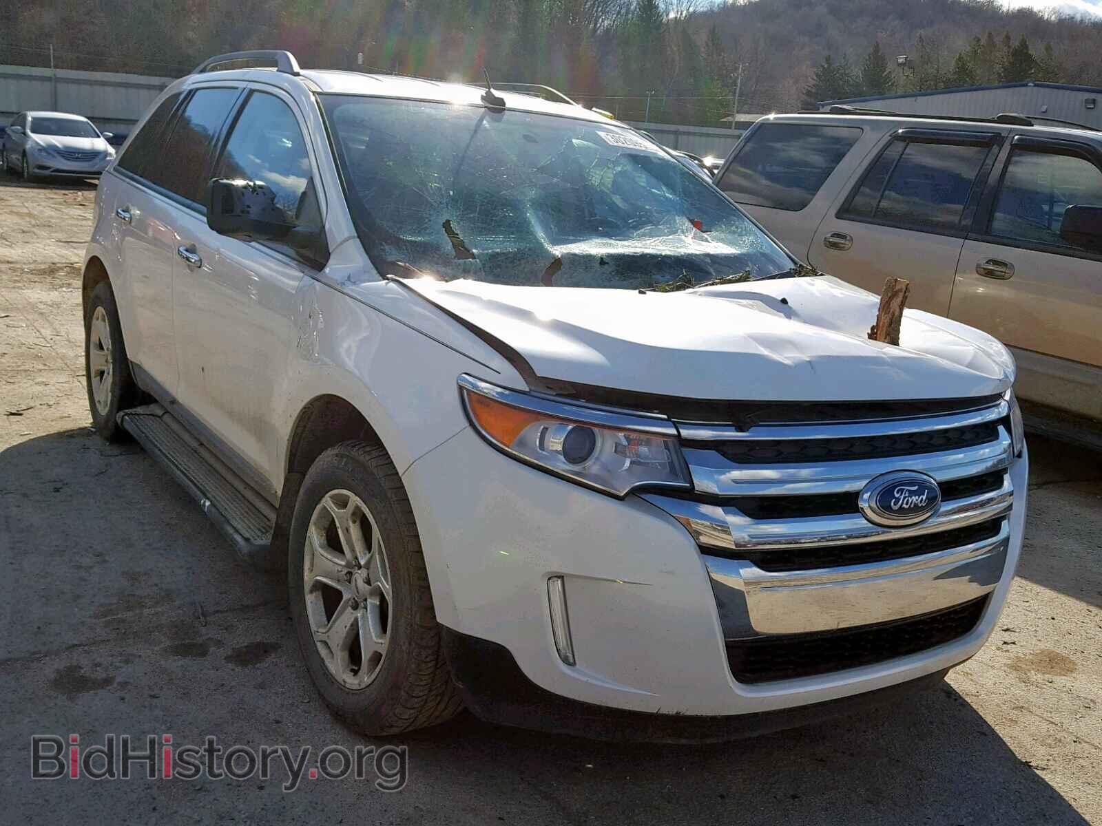Photo 2FMDK4JC5BBA80355 - FORD EDGE SEL 2011