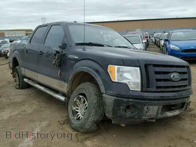 Фотография 1FTFW1EV4AFD04613 - FORD F150 2010