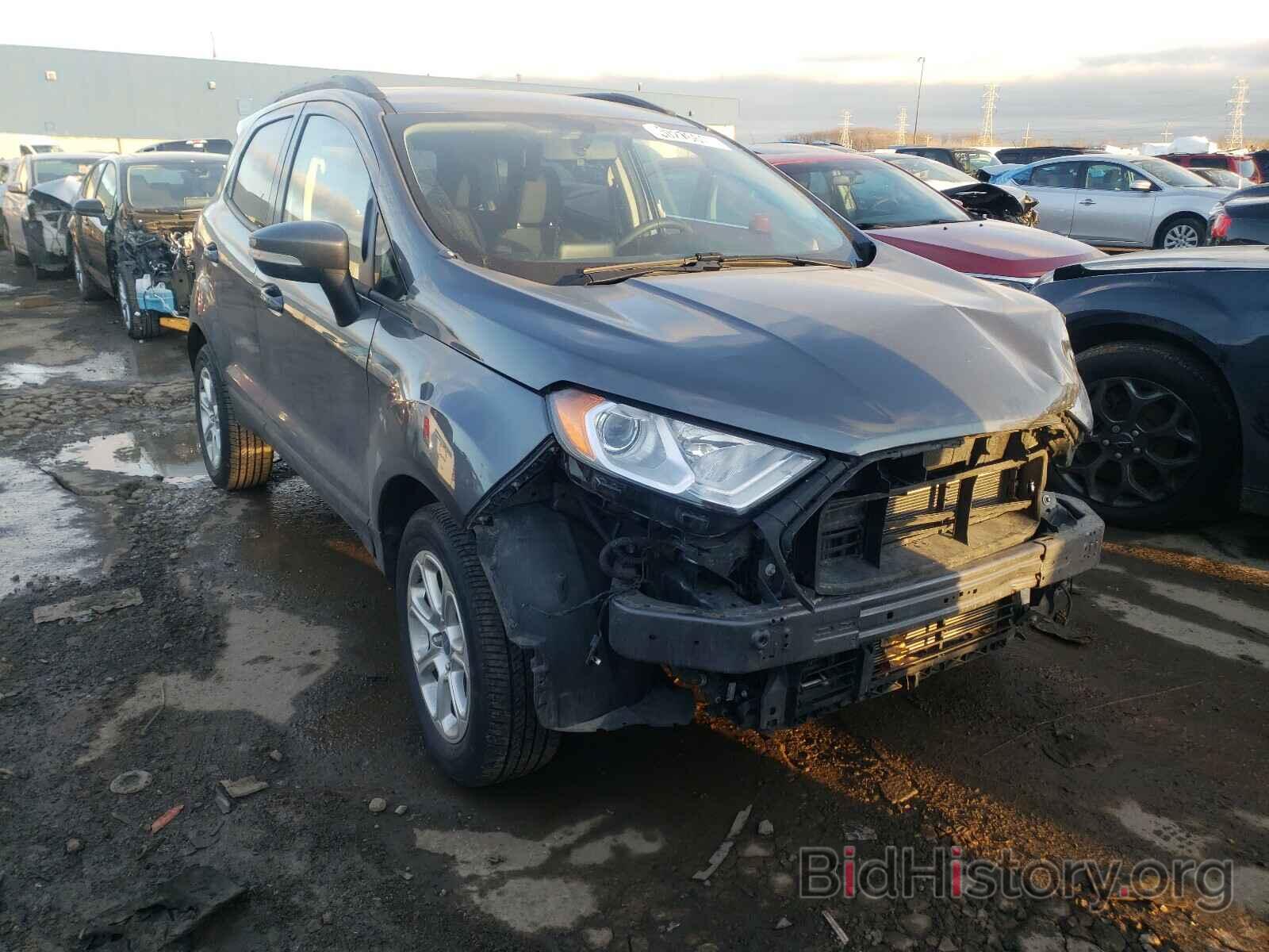 Photo MAJ3S2GE1KC299946 - FORD ALL OTHER 2019