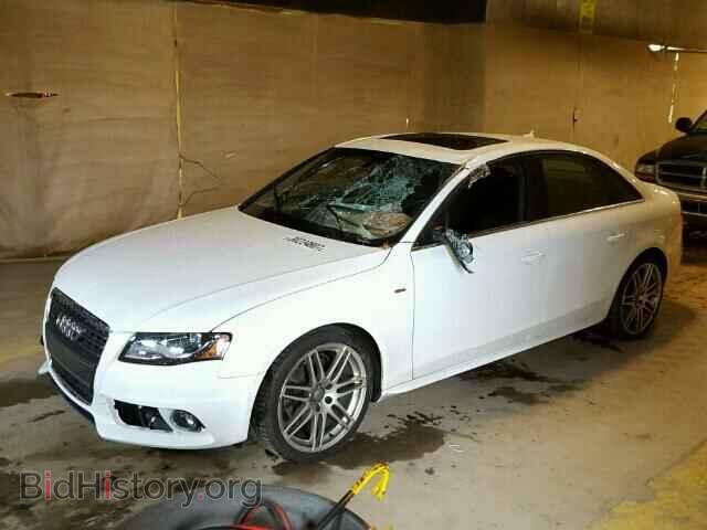 2010 AUDI A4 - VIN: WAUKFAFL8AN008542 - Фото 2