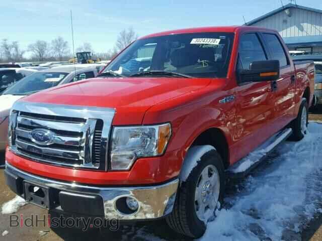 2011 FORD F150 - VIN: 1FTEW1CM1BFC00202 - Фото 2