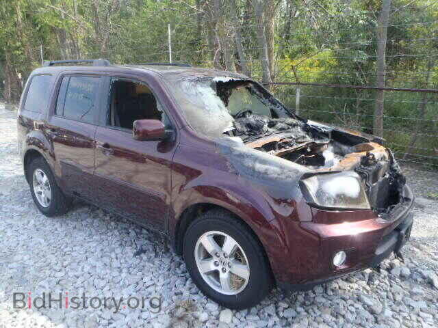 Фотография 5FNYF4H51BB050290 - HONDA PILOT 2011