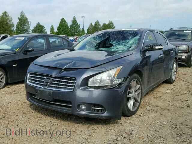 2009 NISSAN MAXIMA - VIN: 1N4AA51E09C834795 - Фото 2