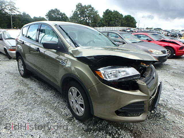 Photo 1FMCU0F76DUB12737 - FORD ESCAPE 2013