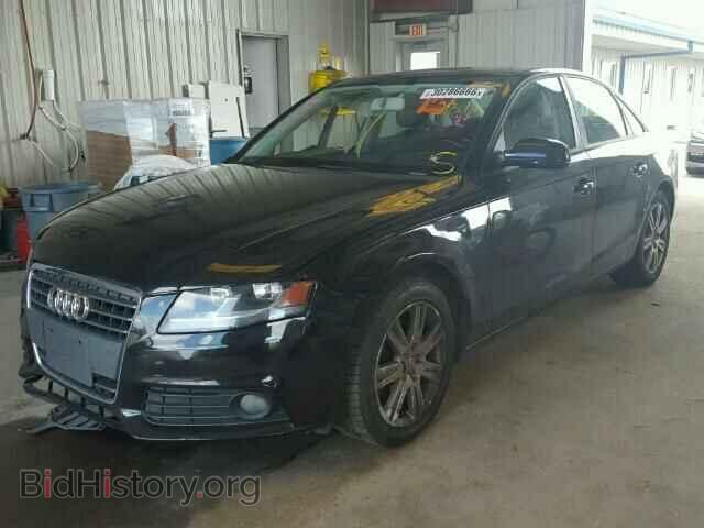 2010 AUDI A4 - VIN: WAUAFAFL2AN009889 - Фото 2