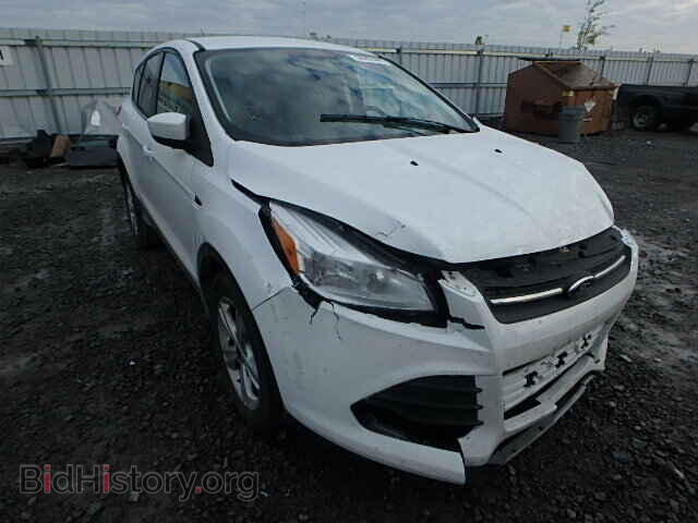 Фотография 1FMCU0G94DUB33473 - FORD ESCAPE 2013