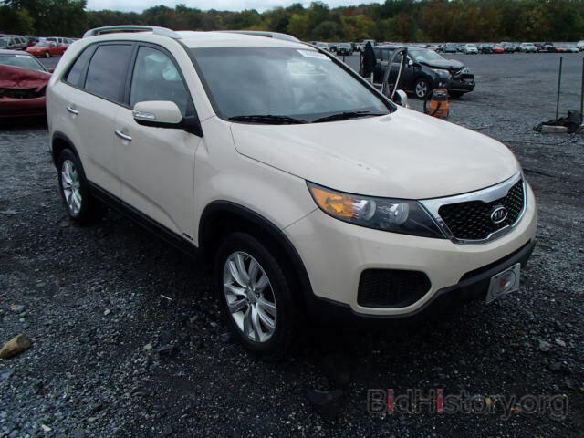 Photo 5XYKTDA29BG090110 - KIA SORENTO 2011