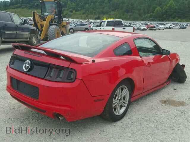 2013 FORD MUSTANG - VIN: 1ZVBP8AM3D5240959 - Фото 4