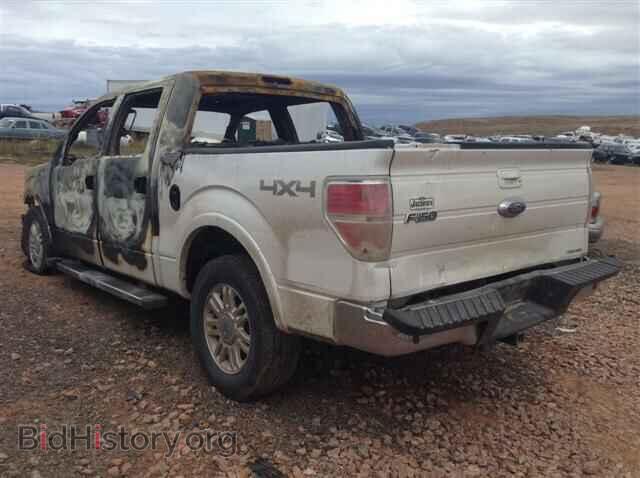 2011 FORD F150 - VIN: 1FTFW1EF7BFD39592 - Фото 3