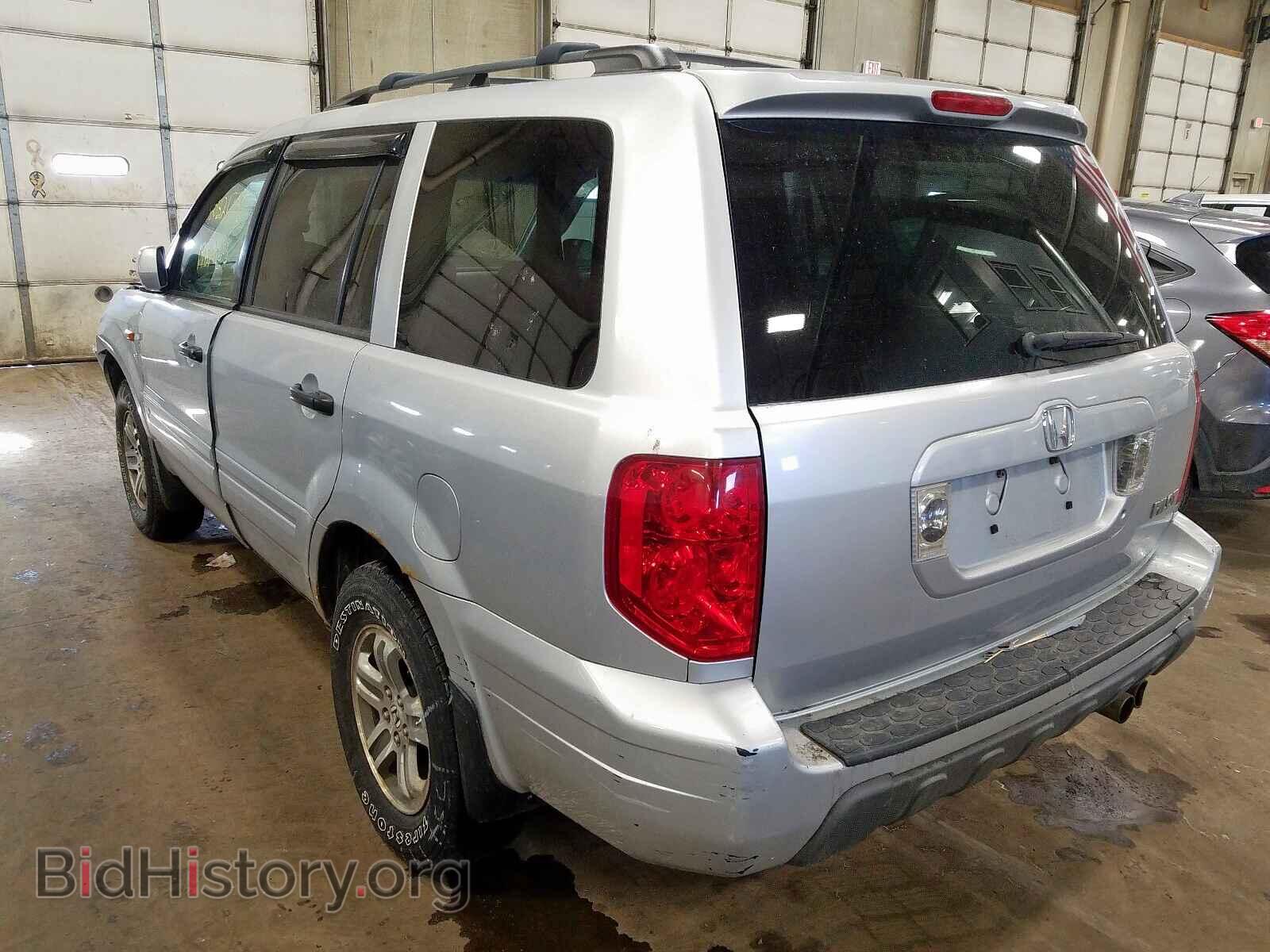 2005 HONDA PILOT - VIN: 5FNYF18465B041613 - Фото 3