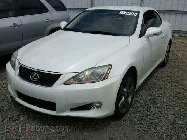 2010 LEXUS IS350 - VIN: JTHFE2C23A2504521 - Фото 2