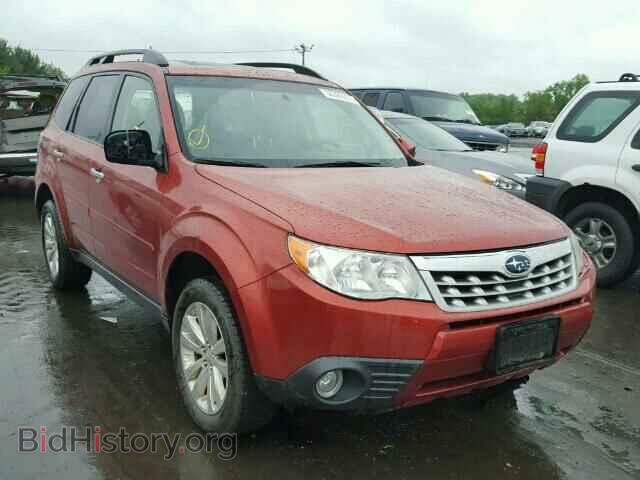 Photo JF2SHAEC5BH705263 - SUBARU FORESTER 2011