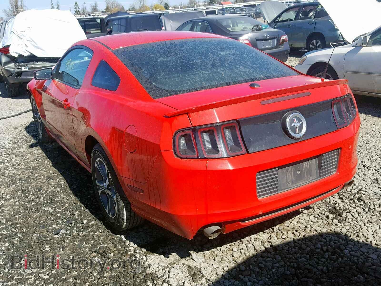 2014 FORD MUSTANG - VIN: 1ZVBP8AM4E5201685 - Фото 3