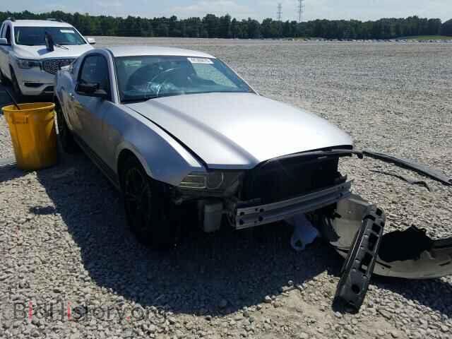Фотография 1ZVBP8AM5D5224942 - FORD MUSTANG 2013