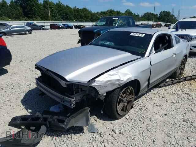 2013 FORD MUSTANG - VIN: 1ZVBP8AM5D5224942 - Фото 2