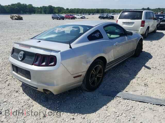 2013 FORD MUSTANG - VIN: 1ZVBP8AM5D5224942 - Фото 4
