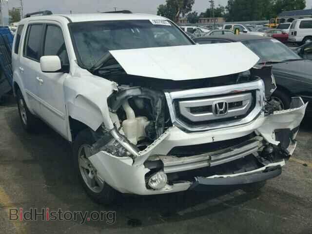 Фотография 5FNYF3H41BB025228 - HONDA PILOT 2011