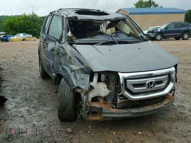 Фотография 5FNYF38629B001628 - HONDA PILOT 2009