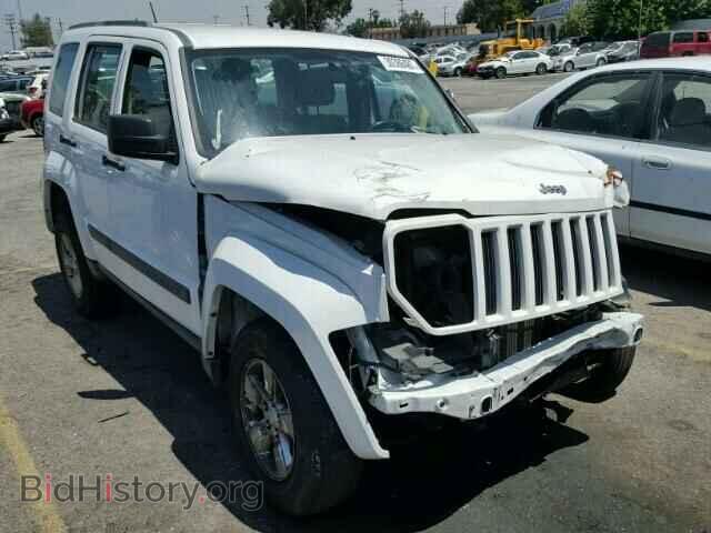 Фотография 1J4PP2GK3BW595031 - JEEP LIBERTY 2011