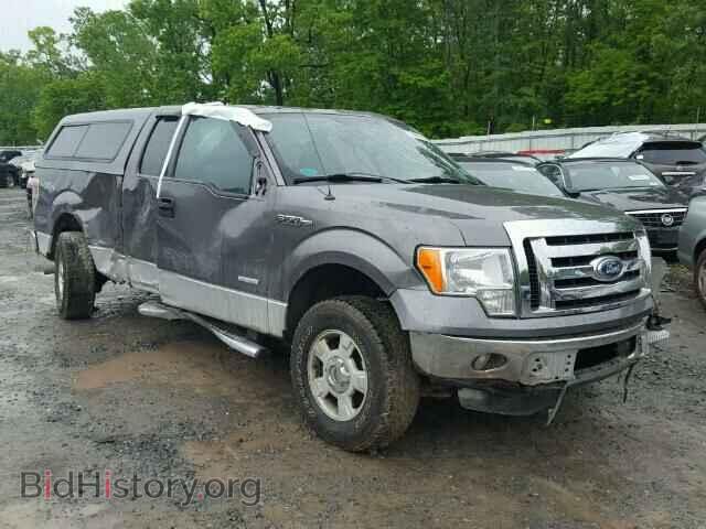 Фотография 1FTFX1ET0BFD18862 - FORD F150 2011