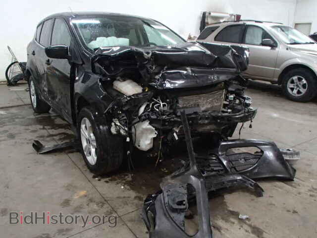 Photo 1FMCU9G94DUA06937 - FORD ESCAPE 2013