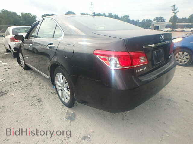 2010 LEXUS ES350 - VIN: JTHBK1EG5A2398079 - Фото 3