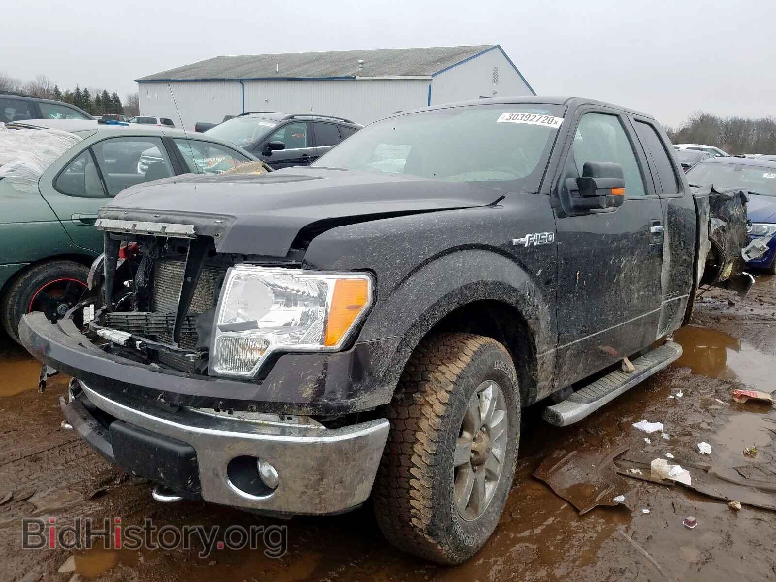 2013 FORD F150 - VIN: 1FTFX1EF4DFD79533 - Photo 2