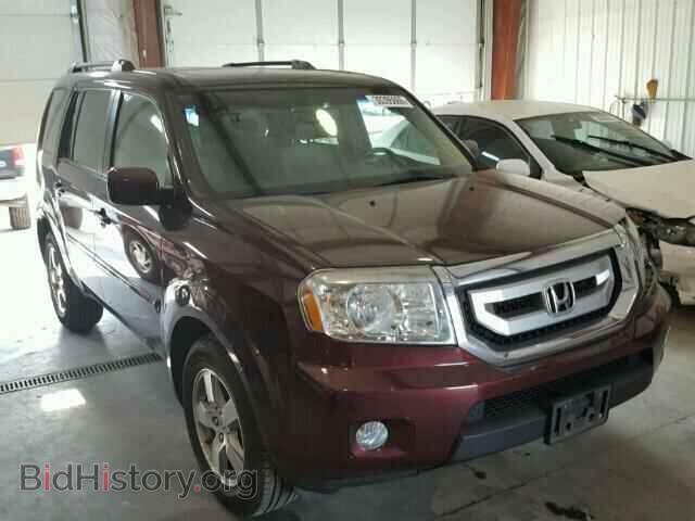 Фотография 5FNYF48559B056541 - HONDA PILOT 2009