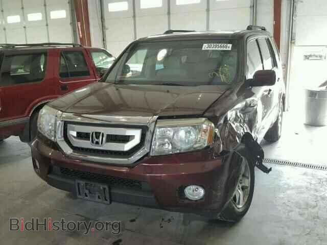 2009 HONDA PILOT - VIN: 5FNYF48559B056541 - Фото 2