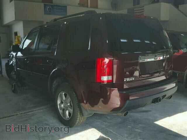 2009 HONDA PILOT - VIN: 5FNYF48559B056541 - Фото 3