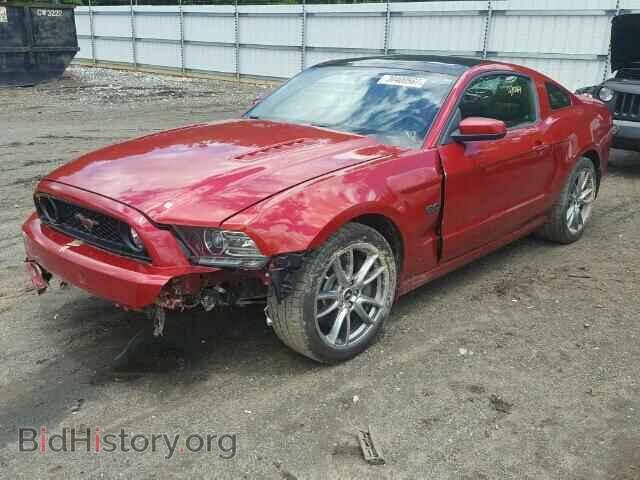 2013 FORD MUSTANG - VIN: 1ZVBP8CF5D5223143 - Фото 2