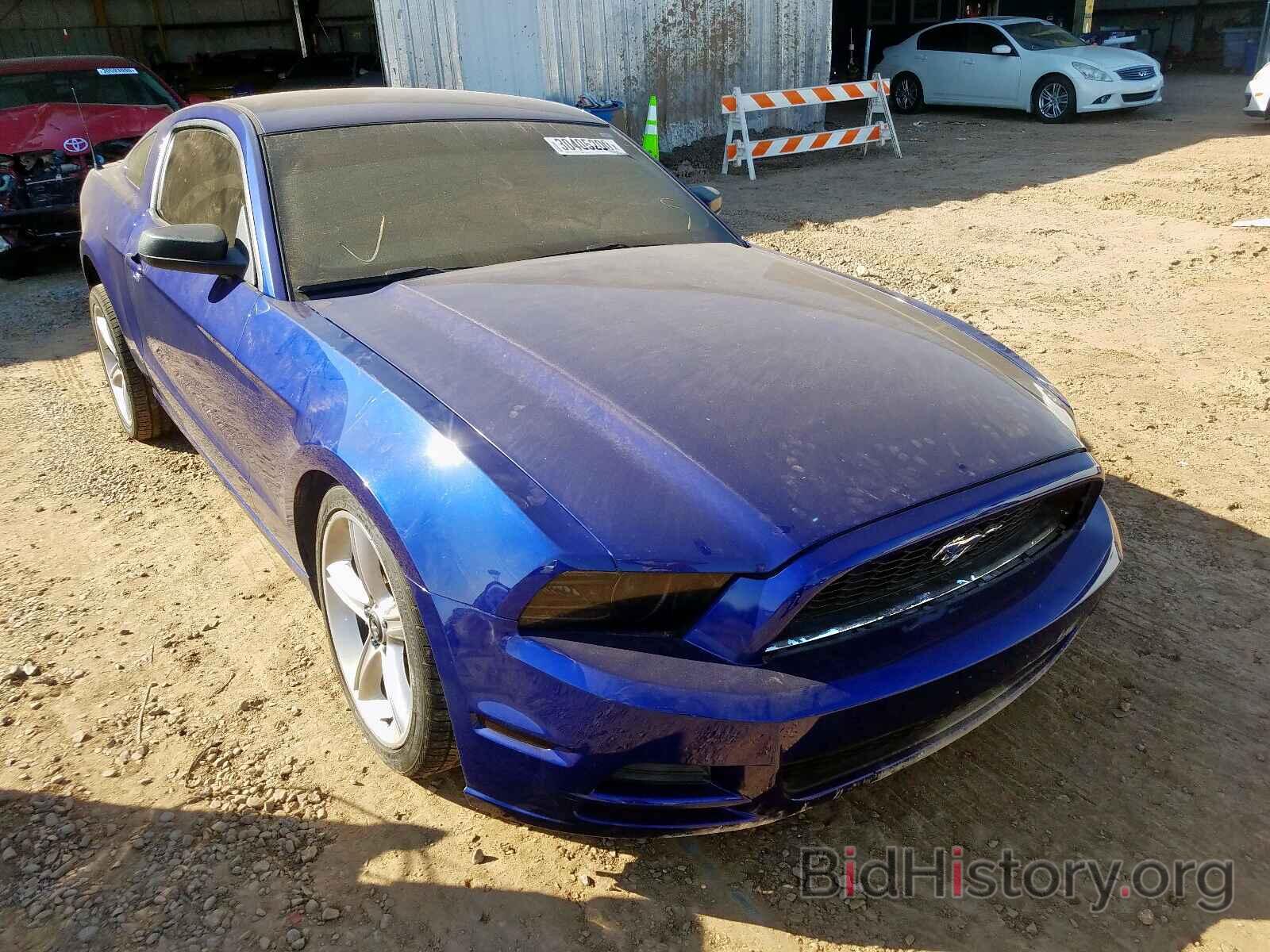 Photo 1ZVBP8AM1D5267240 - FORD MUSTANG 2013
