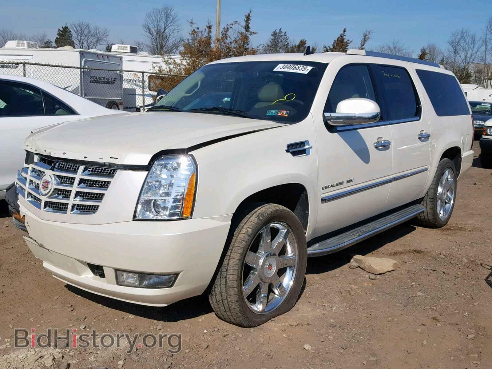 2010 CADILLAC ESCALADE E - VIN: 1GYUKHEF3AR282634 - Фото 2