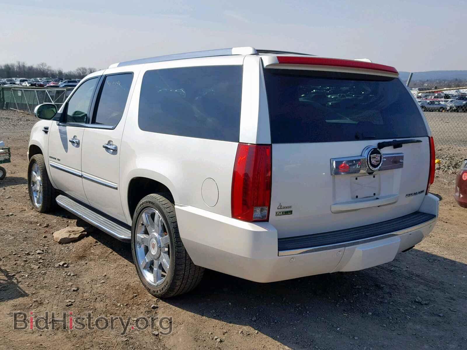 2010 CADILLAC ESCALADE E - VIN: 1GYUKHEF3AR282634 - Фото 3
