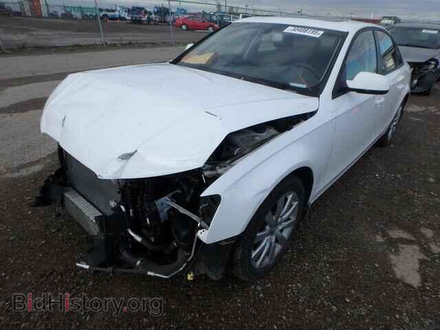 2013 AUDI A4 - VIN: WAUDFCFL1DN029838 - Фото 2
