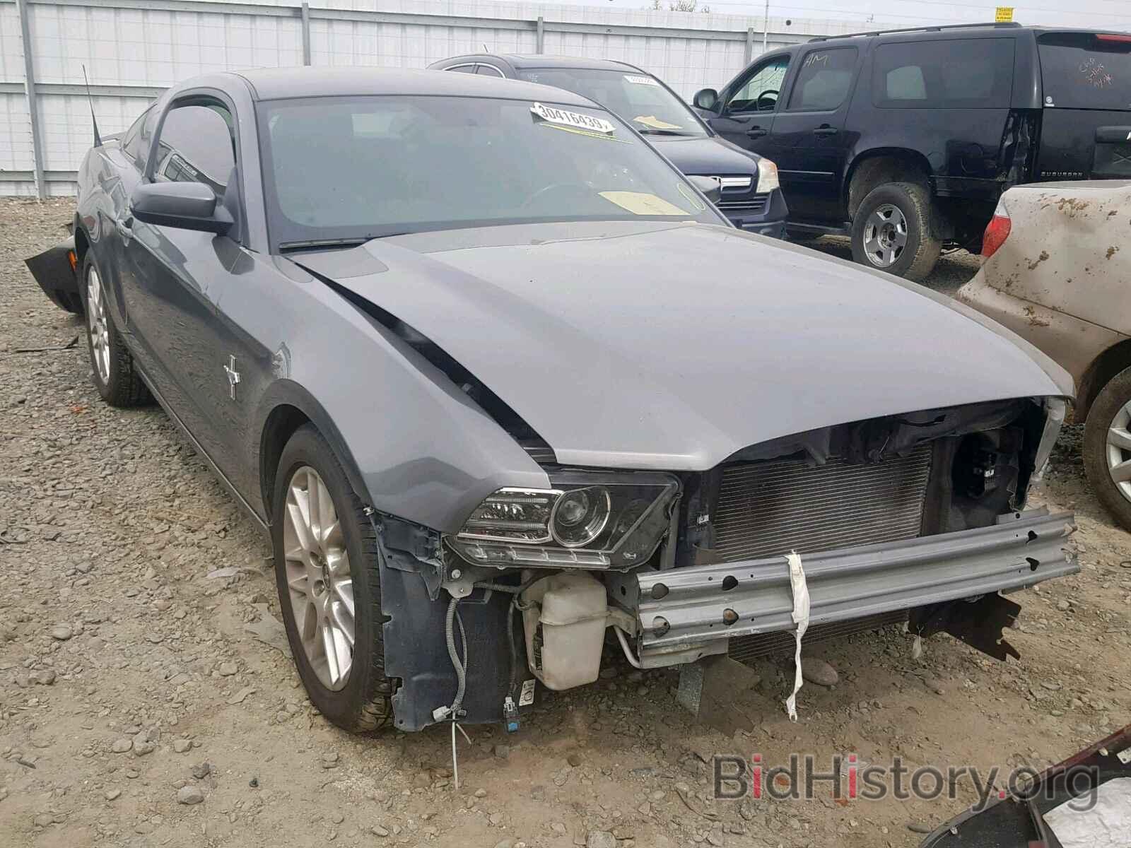 Photo 1ZVBP8AM4E5322037 - FORD MUSTANG 2014