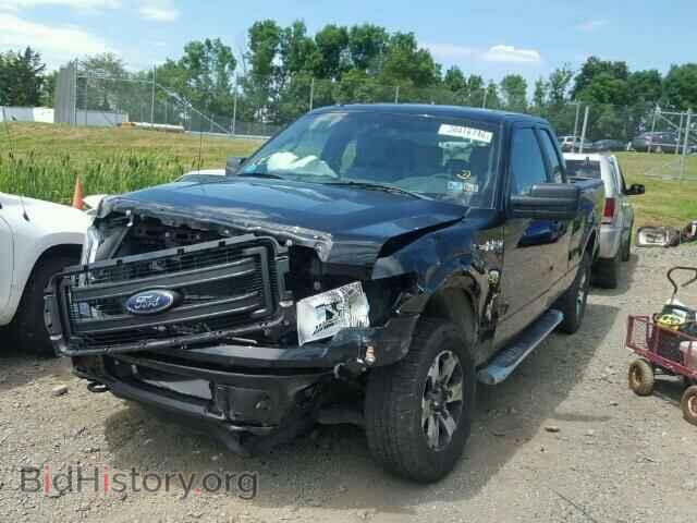 2013 FORD F150 - VIN: 1FTFX1EF0DFD07986 - Фото 2