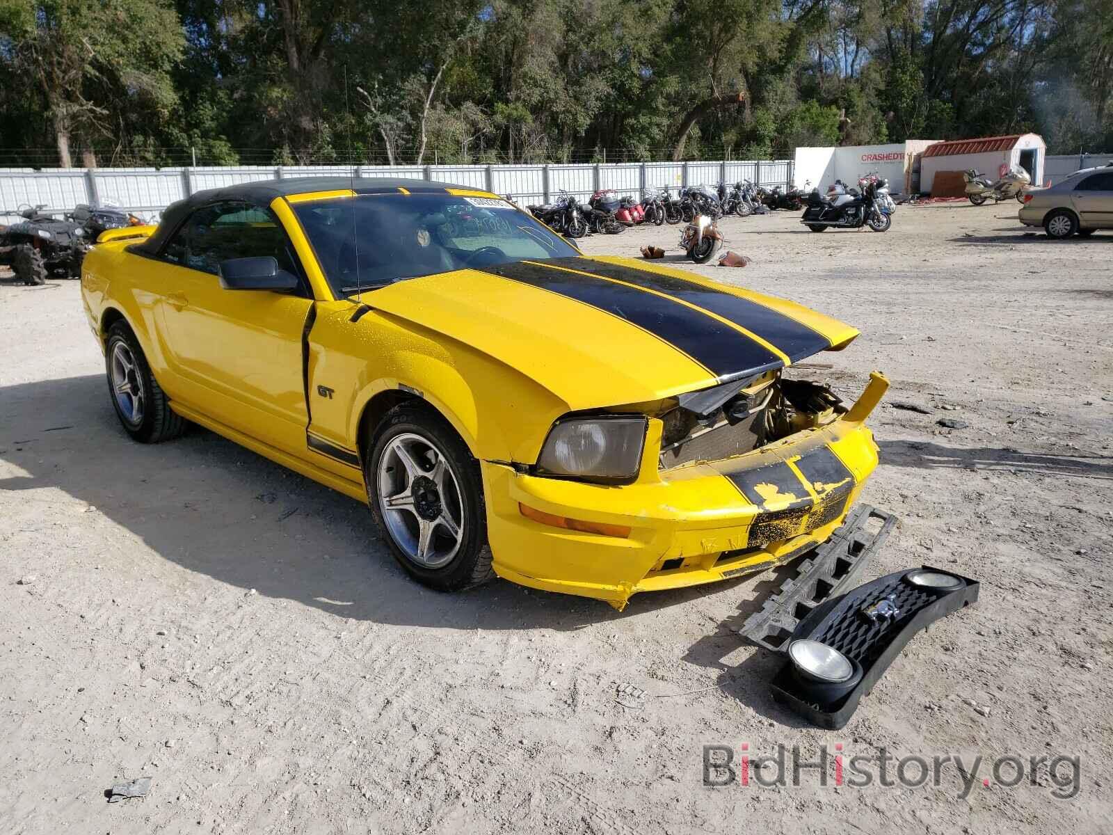 Photo 1ZVFT85H665218452 - FORD MUSTANG 2006