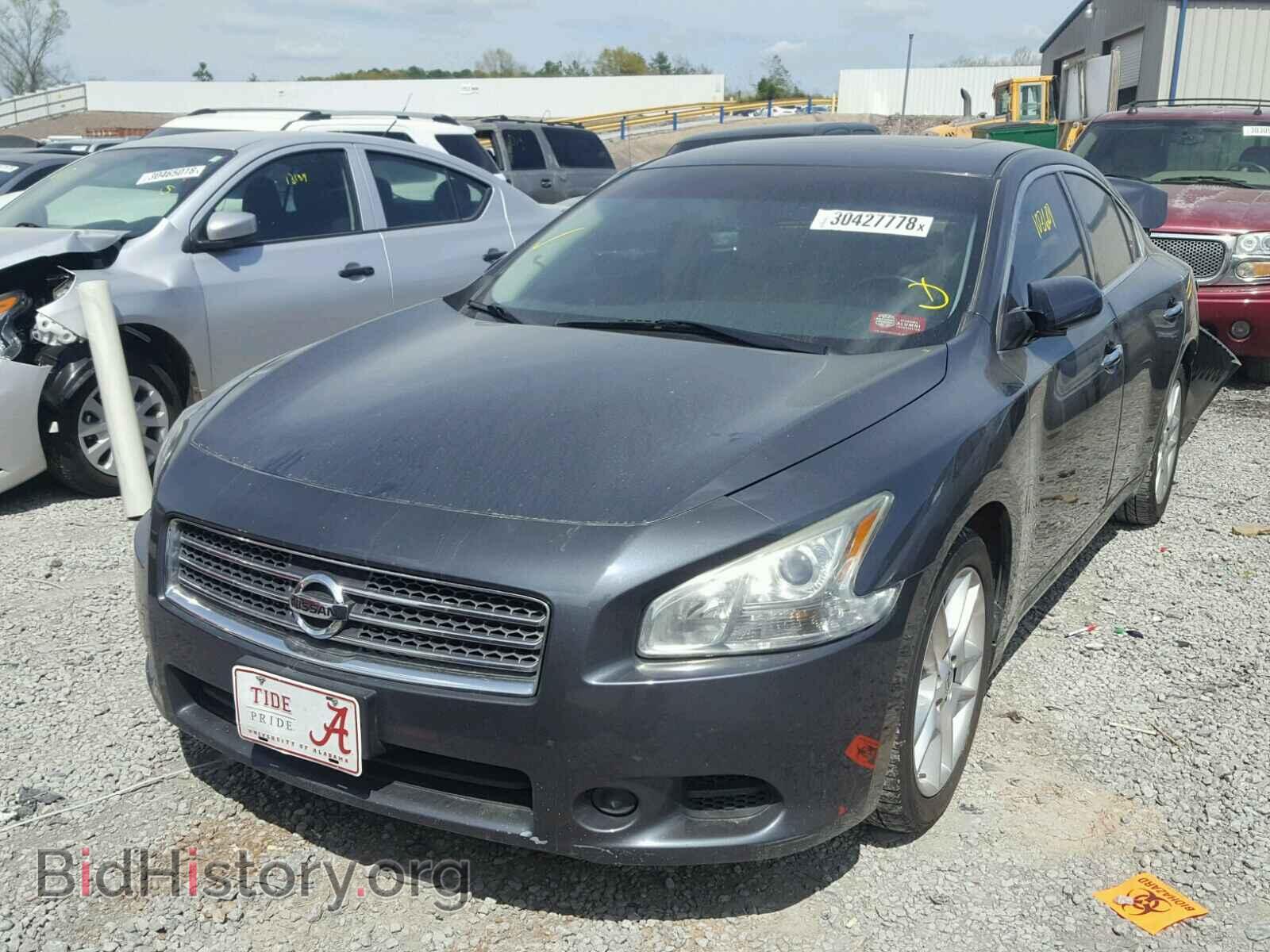 2009 NISSAN MAXIMA S - VIN: 1N4AA51EX9C835145 - Фото 2