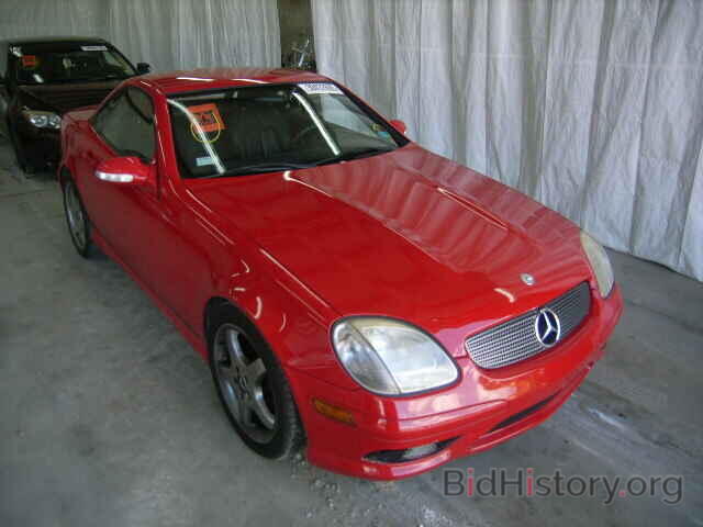 Photo WDBKK49F53F280841 - MERCEDES-BENZ SLK230 2003