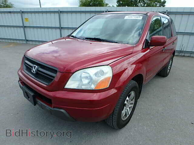 2005 HONDA PILOT - VIN: 5FNYF18495B013899 - Фото 2
