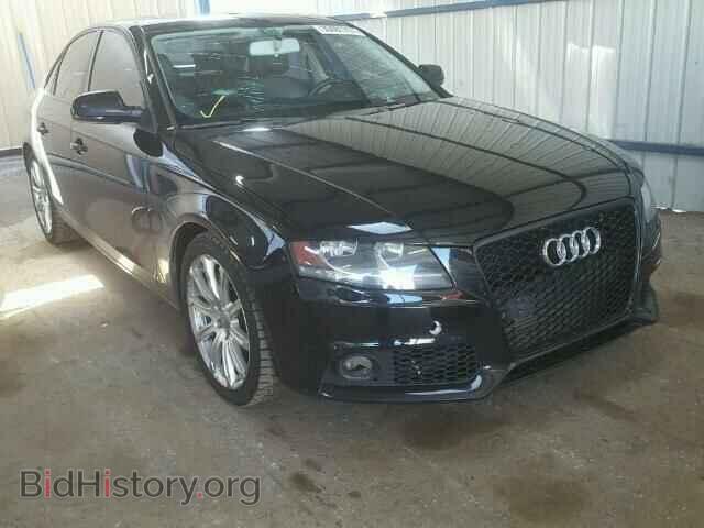 Фотография WAUBFAFL4AN069502 - AUDI A4 2010