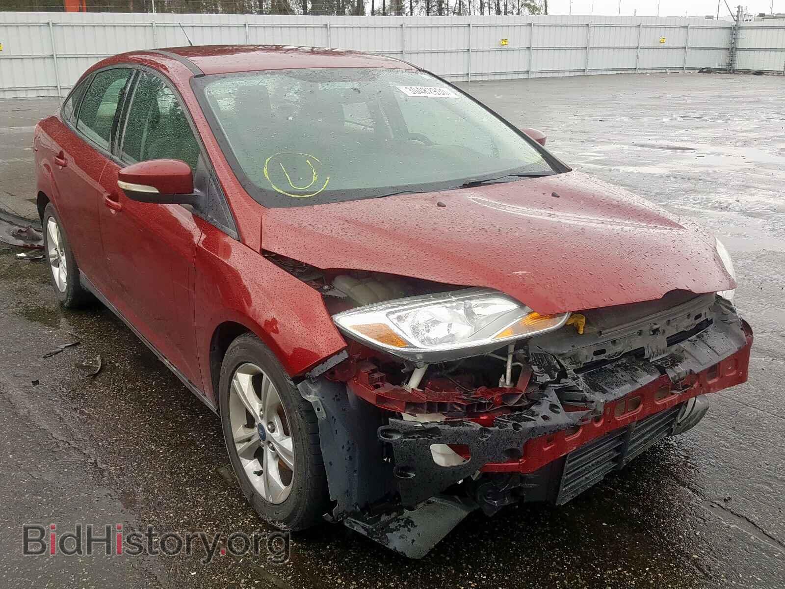 Photo 1FADP3F20DL174667 - FORD FOCUS 2013