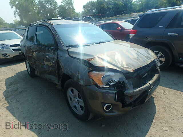 Фотография 2T3BK4DV9CW085954 - TOYOTA RAV4 2012