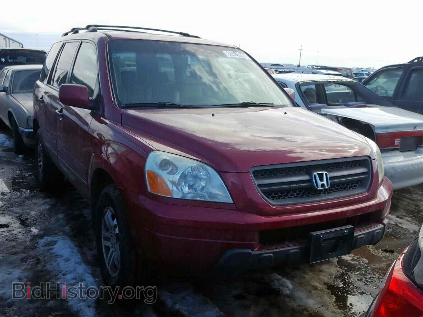 Фотография 5FNYF185X5B025858 - HONDA PILOT 2005
