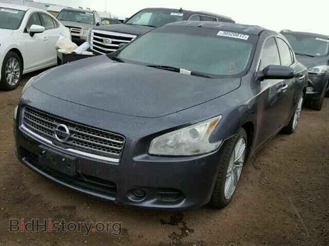 2010 NISSAN MAXIMA - VIN: 1N4AA5AP2AC807829 - Фото 2