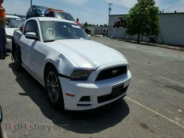 Photo 1ZVBP8AM4E5267217 - FORD MUSTANG 2014